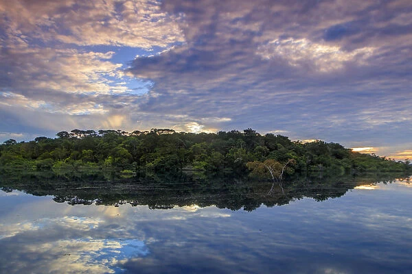 Brazil, Brazilian Amazon, Amazonas state, Amazon Ecopark lodge scenes