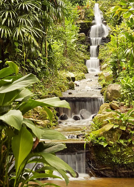 Brazil, City of Rio de Janeiro, Waterfall in the Botanical Garden of Rio de Janeiro