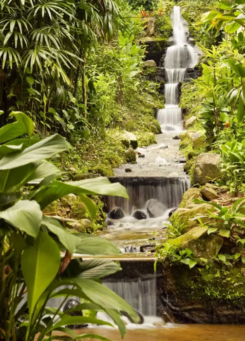 Framed Print : Brazil, City of Rio de Janeiro, Waterfall in the Botanical Garden of Rio de Janeiro Framed Print : Brazil, City of Rio de Janeiro, Waterfall in the Botanical Garden of Rio de Janeiro