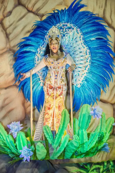 Framed Print : Brazil, Rio de Janeiro, Carnival 2018, samba school parading in the Sambadrome stadium Framed Print : Brazil, Rio de Janeiro, Carnival 2018, samba school parading in the Sambadrome stadium