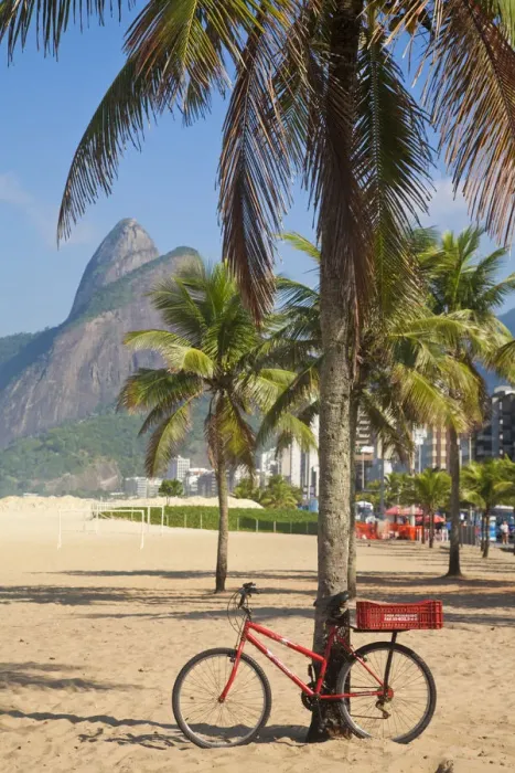 Framed Print : Brazil, Rio De Janeiro, Leblon beach, Bike leaning on palm tree Framed Print : Brazil, Rio De Janeiro, Leblon beach, Bike leaning on palm tree