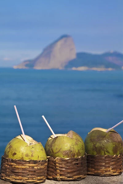 Brazil, Rio De Janeiro, Niteroi, Coconut drinks with Sugar Loaf in the background