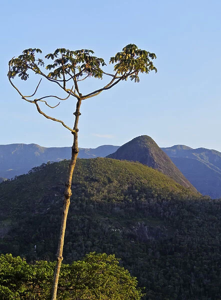Brazil, State of Rio de Janeiro, View of the mountains near Petropolis
