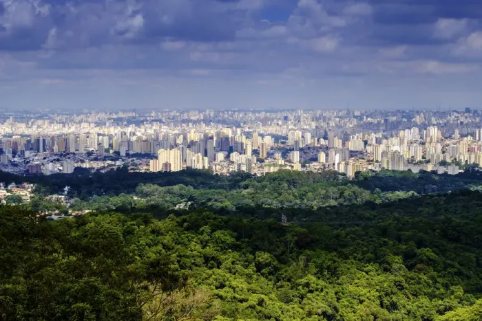 Framed Print : Brazil, view of Sao Paulo city skyline from the forest of the Serra da Cantareira Framed Print : Brazil, view of Sao Paulo city skyline from the forest of the Serra da Cantareira