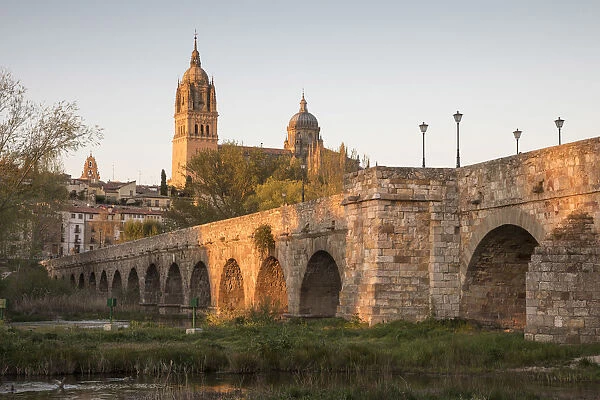 Bridge over Rio Tormes and Cathedral, Salamanca, Castilla y Leon, Spain, Europe