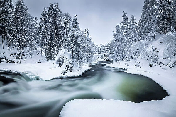 Bridge over river in snow-covered forest, Oulanka National Park, Finland