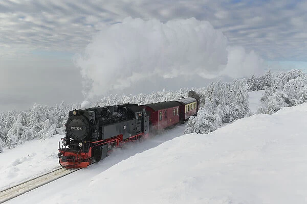 Brockenbahn on the way to the winter snow-covered Brocken, Harz, Schierke, Saxony-Anhalt