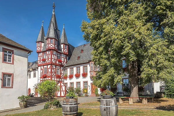 Bromserhof in the old town of Rudesheim, Rheingau, Hesse, Germany