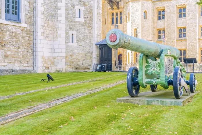 Framed Print : The bronze 24 Pounder Cannon and a raven at the Tower of London
