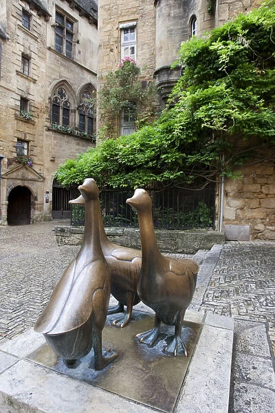 Bronze statue closeup of goose. Place du marchAo aux oies
