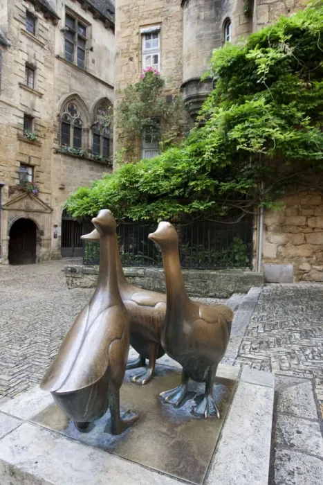 Framed Print : Bronze statue closeup of goose. Place du marchAo aux oies Framed Print : Bronze statue closeup of goose. Place du marchAo aux oies