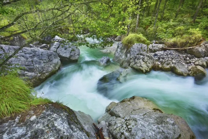 Framed Print : Brook in deciduous forest - Germany, Bavaria, Upper Bavaria, Berchtesgadener Land, Ramsau