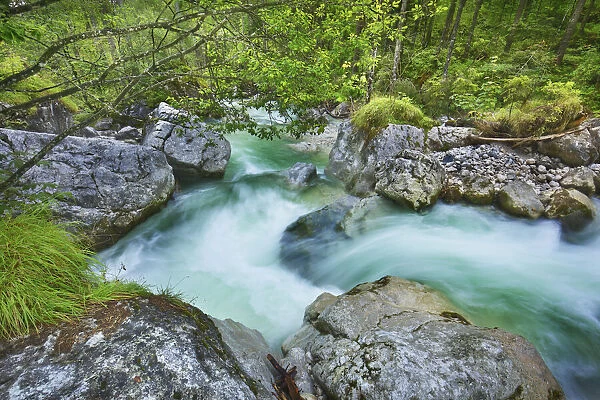 Brook in deciduous forest - Germany, Bavaria, Upper Bavaria, Berchtesgadener Land, Ramsau