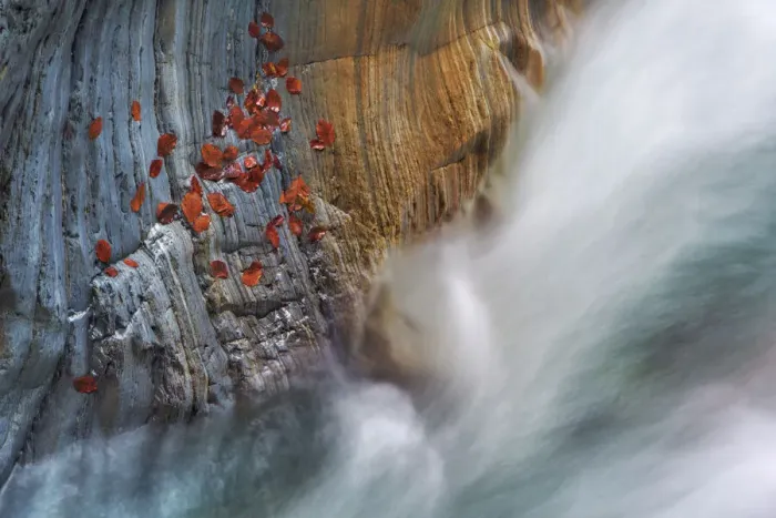 Framed Print : Brook gorge with autumn leaves - Austria, Carinthia, Hermagor, Garnitzenklamm - Alps Framed Print : Brook gorge with autumn leaves - Austria, Carinthia, Hermagor, Garnitzenklamm - Alps