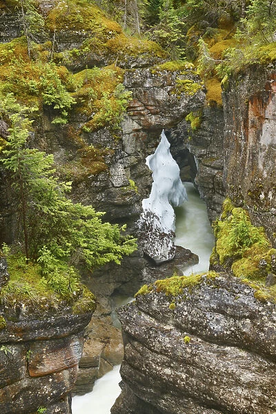 Brook gorge in Maligne Canyon - Canada, Alberta, Jasper National Park