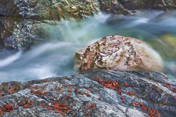 Brook gorge with rocks and autumn leaves - Austria, Carinthia, Hermagor