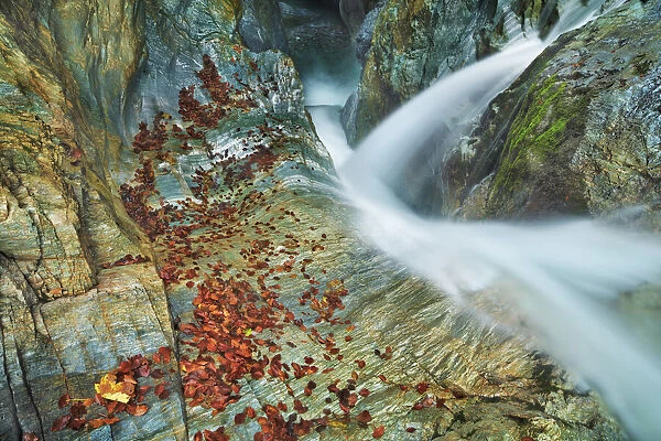 Brook gorge with waterfall and autumn leaves - Austria, Carinthia, Hermagor