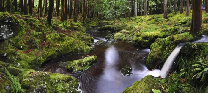 Framed Print : Brook at the Lagoa das Patas Nature Reserve. Terceira, Azores islands, Portugal