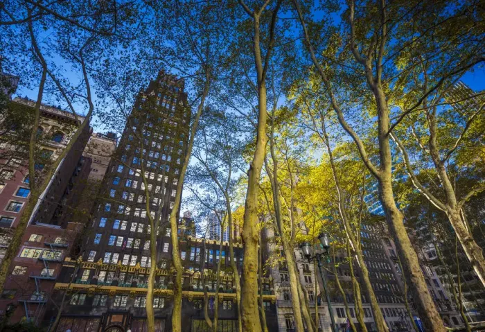 Framed Print : Bryant Park, Midtown Manhattan, New York City, New York, USA Framed Print : Bryant Park, Midtown Manhattan, New York City, New York, USA