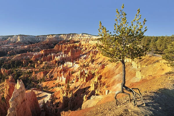 Bryce Canyon National Park, Colorado Plateau, Utah, USA