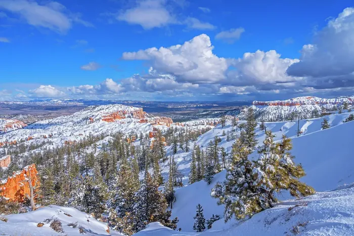 Framed Print : Bryce Canyon National Park, Utah, USA Framed Print : Bryce Canyon National Park, Utah, USA