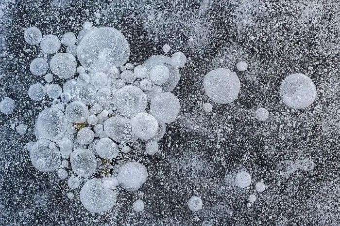 Framed Print : Bubbles trapped in frozen surface of pond, Thornton, Ontario, Canada Framed Print : Bubbles trapped in frozen surface of pond, Thornton, Ontario, Canada