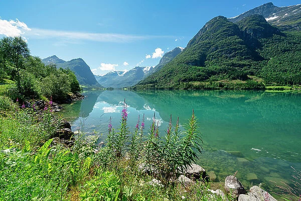 Bucolic view and wild flowers on shores in summer of Oldevatnet lake, Loen, Stryn Municipality, Sogn og Fjordane county, Norway