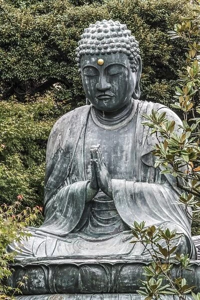 Buddha at Gokokusan Tenno ji Temple, Taito, Tokyo, Japan