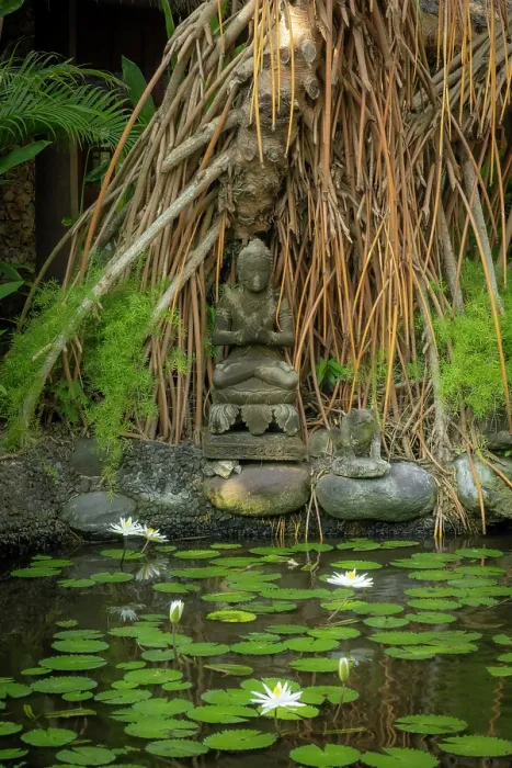 Framed Print : Buddha statue & Lily pond at the Oberoi Hote in Seminyak,  Bali, Indonesia