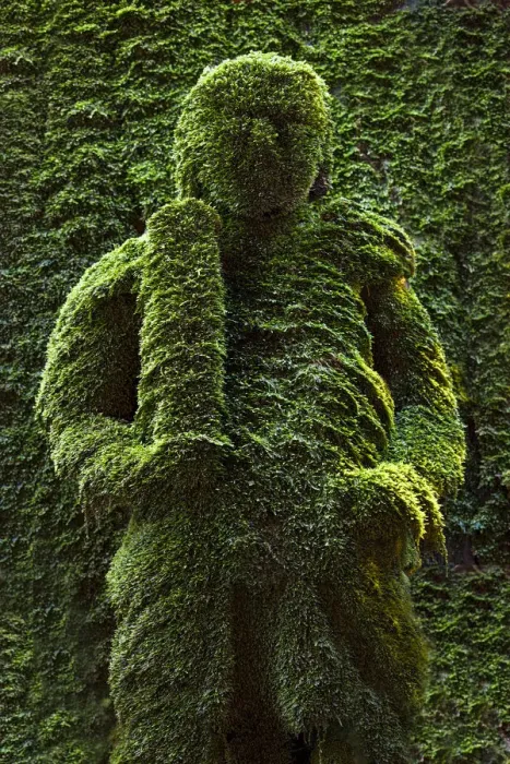 Framed Print : Buddhist moss statue at the Hozen-ji temple, Osaka, Japan Framed Print : Buddhist moss statue at the Hozen-ji temple, Osaka, Japan