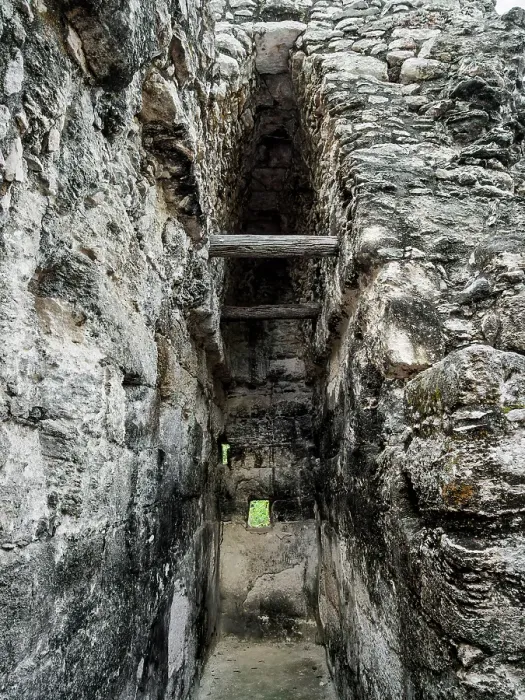 Framed Print : Building at the main plaza, Calakmul Archaeological Site, Campeche State, Mexico Framed Print : Building at the main plaza, Calakmul Archaeological Site, Campeche State, Mexico
