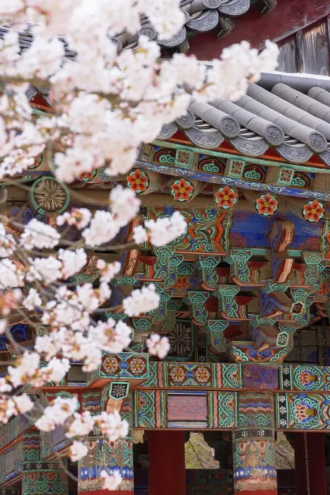Framed Print : Bulguksa Temple (UNESCO World Heritage Site), Gyeongju, South Korea