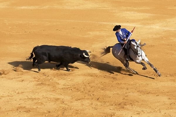 Bullfight, Jerez de la Frontera, Cadiz Province, Andalusia, Spain