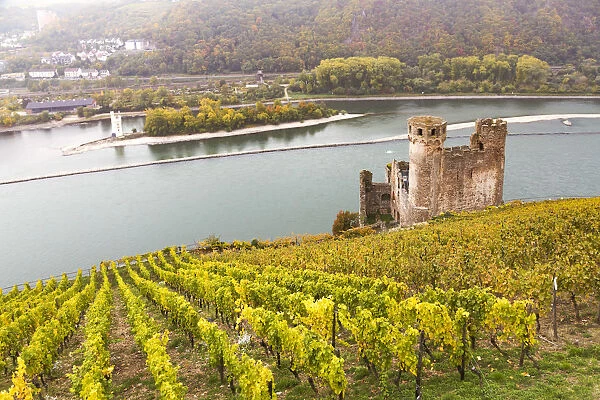 Burg Ehrenfels, Rudesheim, Rhine valley, Hesse, Germany