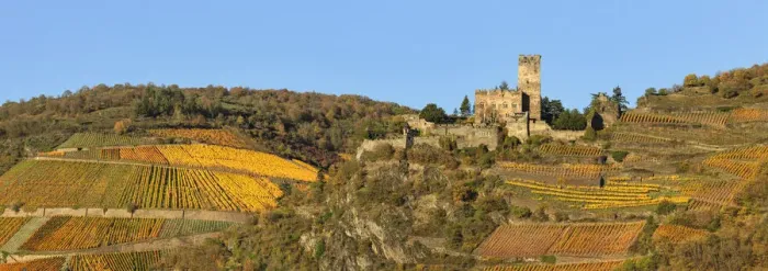 Framed Print : Burg Gutenfels, Kaub, Upper Middle Rhine Valley, Rhineland-Palatinate, Germany
