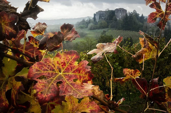Burios Castle in Boglietto with foliage, Monferrato, Costigliole d Asti