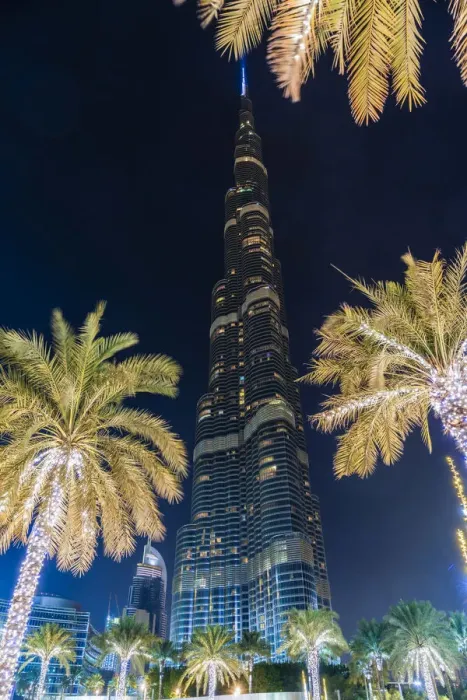 Framed Print : Burj Khalifa & palm trees at night, Dubai, United Arab Emirates, U. A. E Framed Print : Burj Khalifa & palm trees at night, Dubai, United Arab Emirates, U. A. E