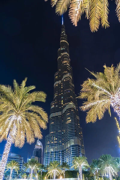 Burj Khalifa & palm trees at night, Dubai, United Arab Emirates, U. A. E