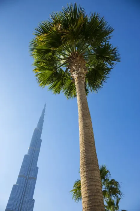Framed Print : Burj Khalifa (worlds tallest building), Downtown, Dubai, United Arab Emirates