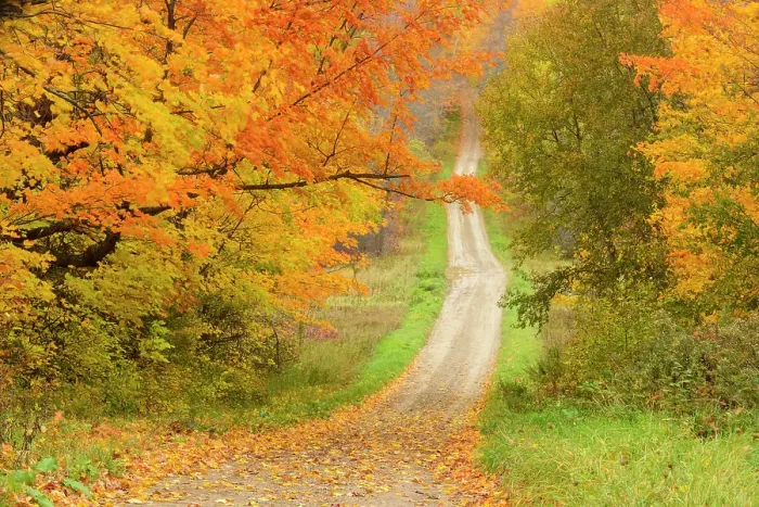 Framed Print : Burnett's sideroad in autumn, Sheguiandah, Manitoulin Island, Ontario, Canada Framed Print : Burnett's sideroad in autumn, Sheguiandah, Manitoulin Island, Ontario, Canada