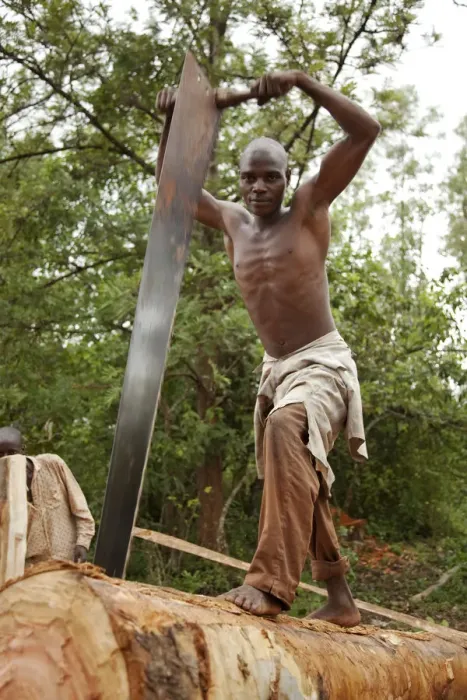 Framed Print : Burundi. A man cuts a tree into planks in a traditional sawpit Framed Print : Burundi. A man cuts a tree into planks in a traditional sawpit
