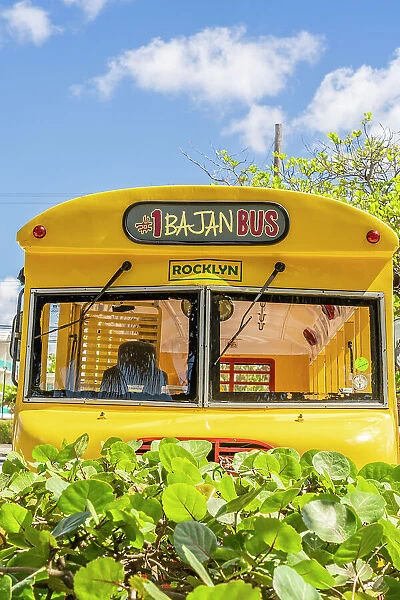 Bus, Barbados, Caribbean
