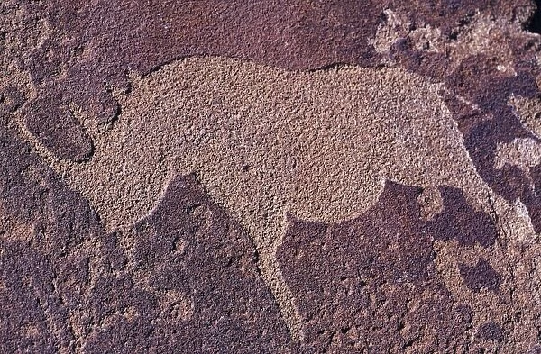 Bushman Rhino Petroglyph near caves formations at Twyfelfontein