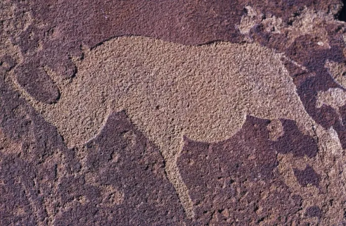 Framed Print : Bushman Rhino Petroglyph near caves formations at Twyfelfontein Framed Print : Bushman Rhino Petroglyph near caves formations at Twyfelfontein