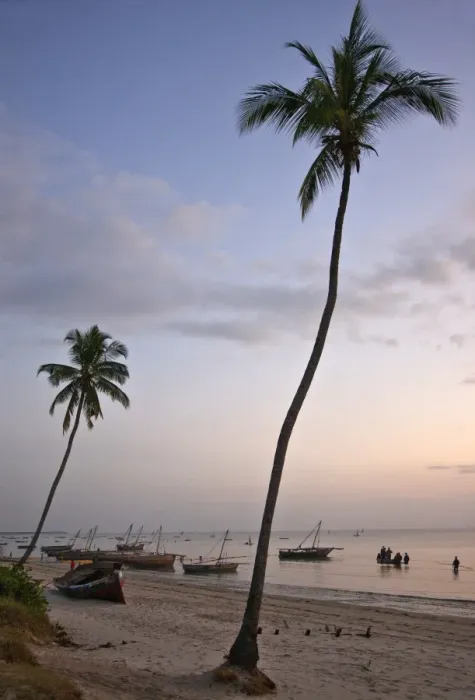 Framed Print : The busy harbour at Bagamoyo at dawn where fishermen land their catches Framed Print : The busy harbour at Bagamoyo at dawn where fishermen land their catches