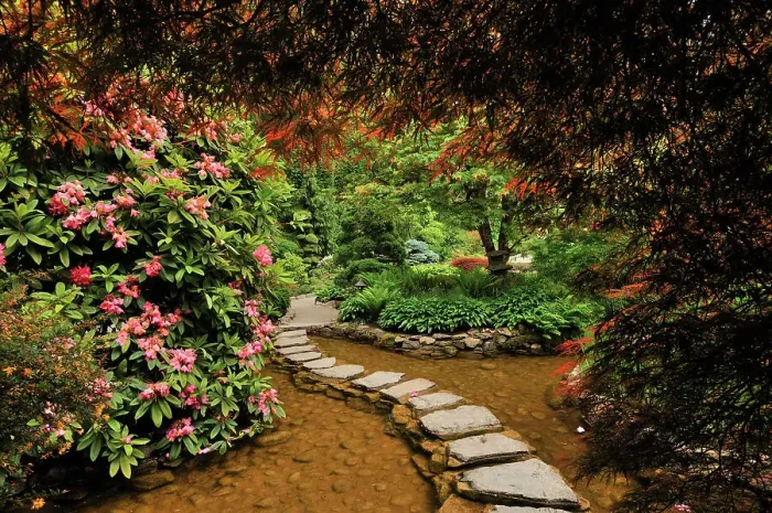 Framed Print : The Butchart Gardens. Brentwood Bay near Victoria, British Columbia, Canada Framed Print : The Butchart Gardens. Brentwood Bay near Victoria, British Columbia, Canada