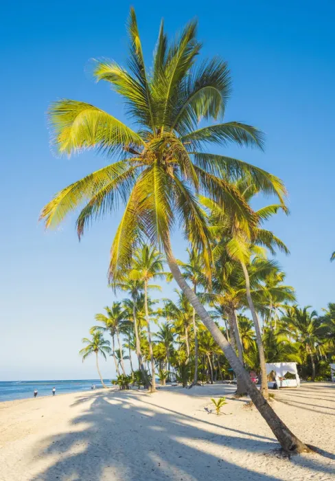 Framed Print : Cabeza de Toro beach, Punta Cana, Dominican Republic Framed Print : Cabeza de Toro beach, Punta Cana, Dominican Republic