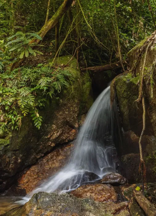 Framed Print : Cachoeira do Jequitiba, waterfall, Tijuca Forest National Park, Rio de Janeiro, Brazil