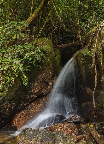 Cachoeira do Jequitiba, waterfall, Tijuca Forest National Park, Rio de Janeiro, Brazil