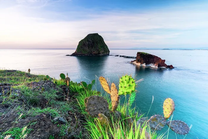 Framed Print : Cactus overlooking the South China Sea, Tuy An, Phu Yen Province, Vietnam Framed Print : Cactus overlooking the South China Sea, Tuy An, Phu Yen Province, Vietnam